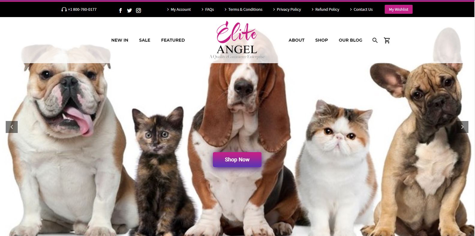 Buffalo Website Builder - The Elite Angel LLC - Gallery Image 1
