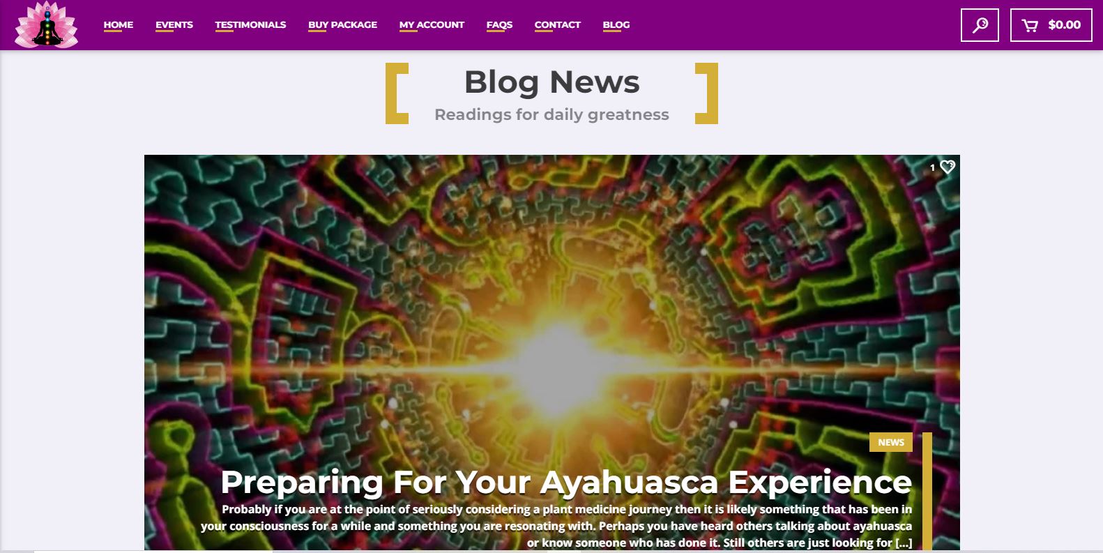Buffalo Website Builder - Life Force Intentions - Gallery Image 110