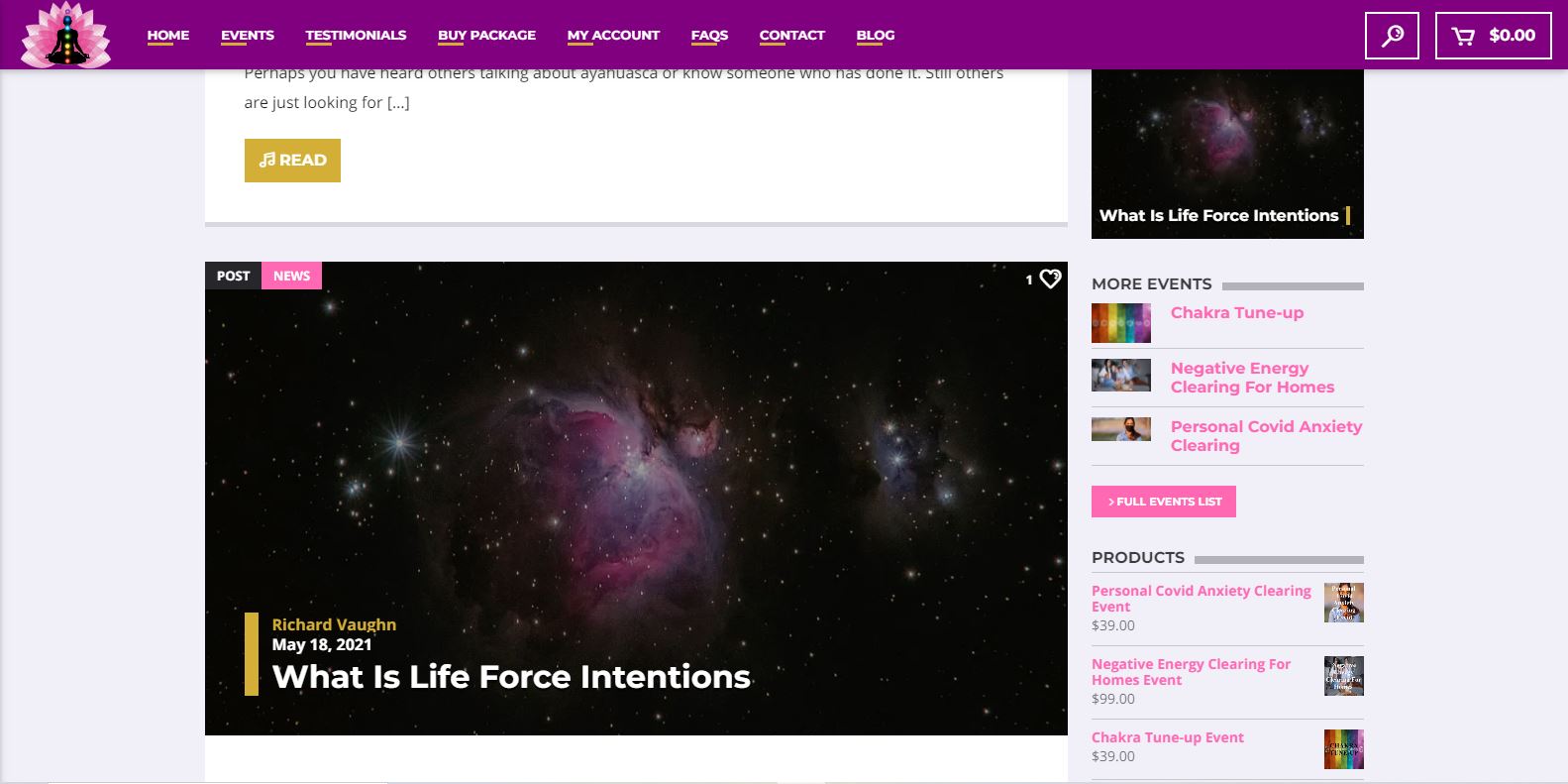 Buffalo Website Builder - Life Force Intentions - Gallery Image 1015