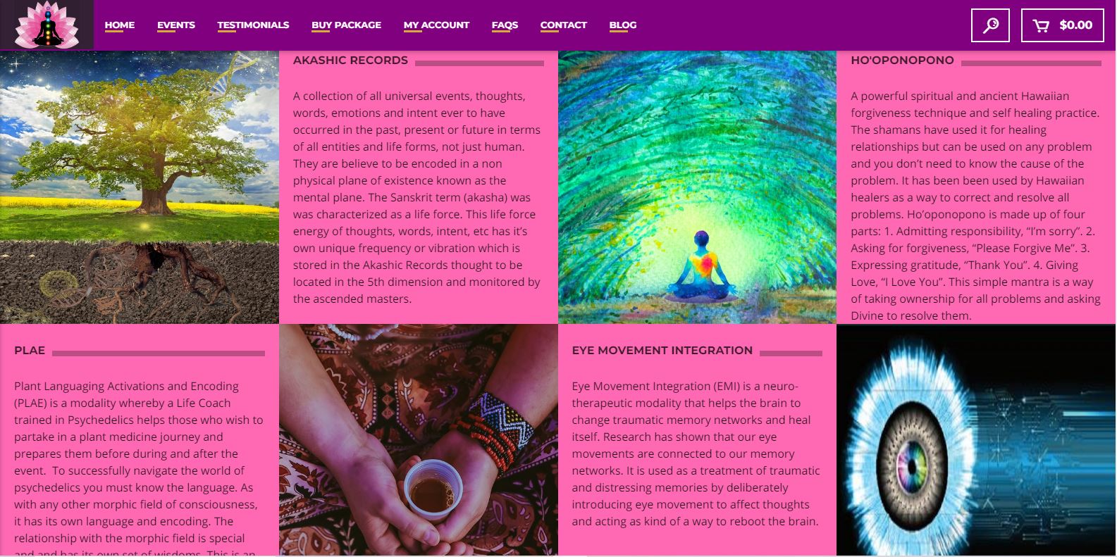 Buffalo Website Builder - Life Force Intentions - Gallery Image 108