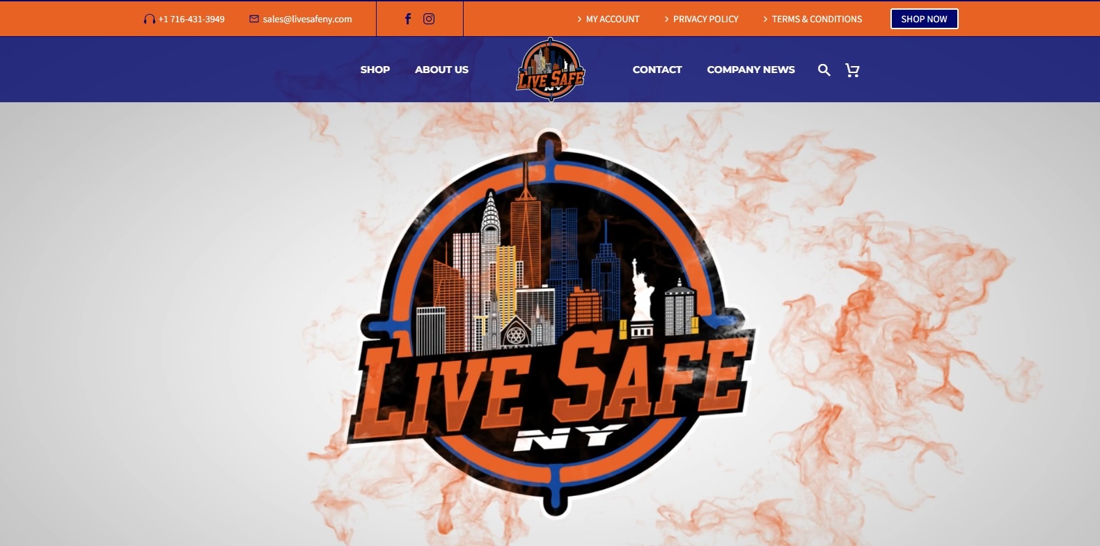 Buffalo Website Builder -Live Safe NY - Gallery Image 1
